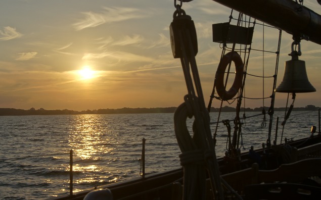 News - Łapanie wirusa (odc.2)